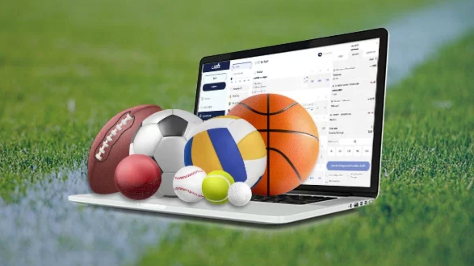 Different Balls for Different Sports on top of A Laptop